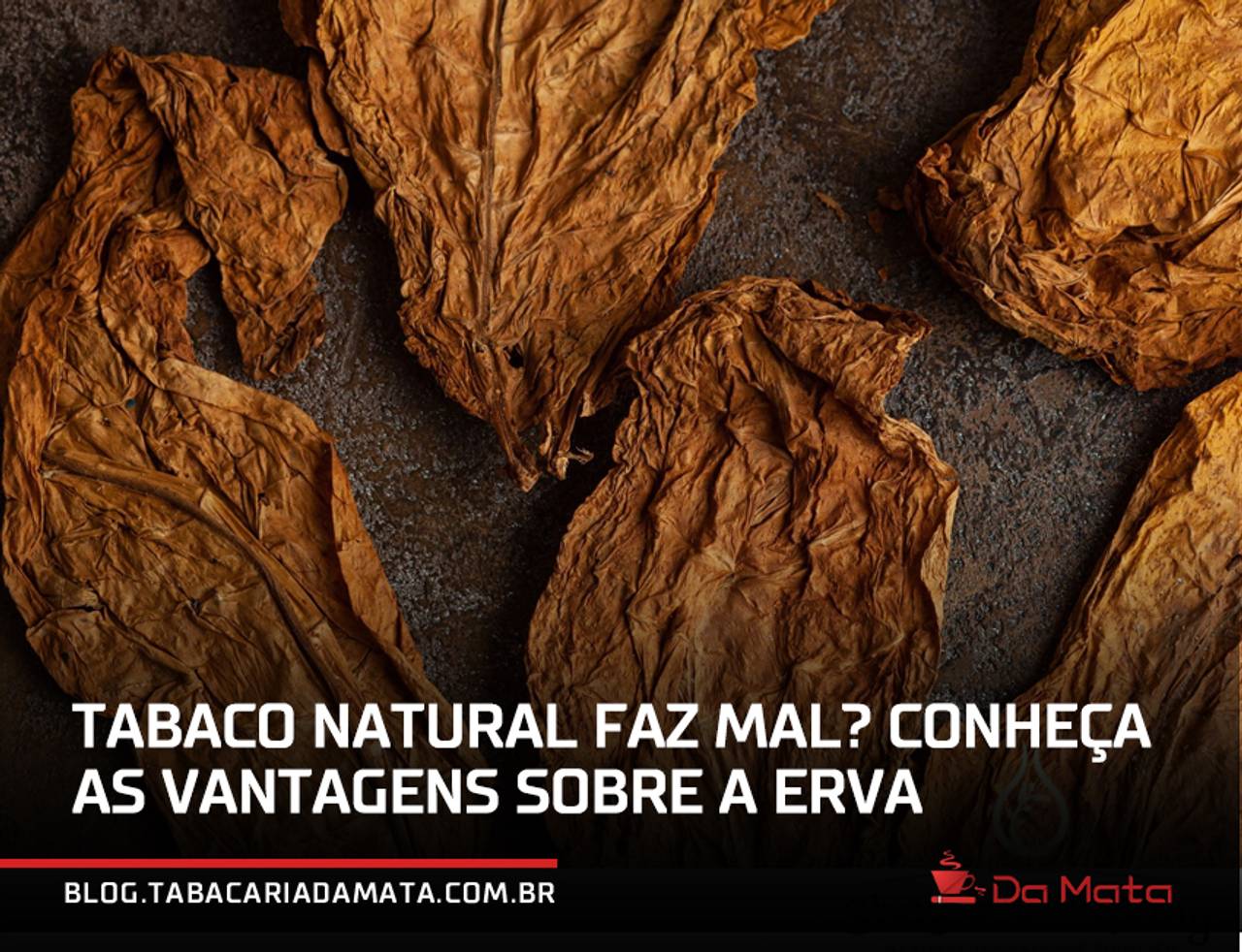 folhas de tabaco natural desidratadas com o texto sobreposto: "Tabaco Natural faz mal? Conheça as vantagens sobre a erva"