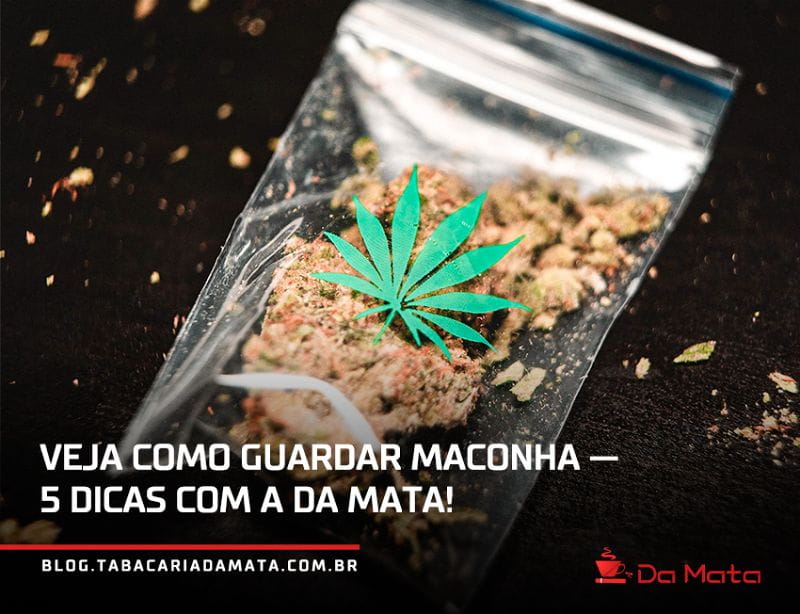 Como guardar maconha —5 dicas com a Da Mata Como guardar maconha —5 dicas com a Da Mata