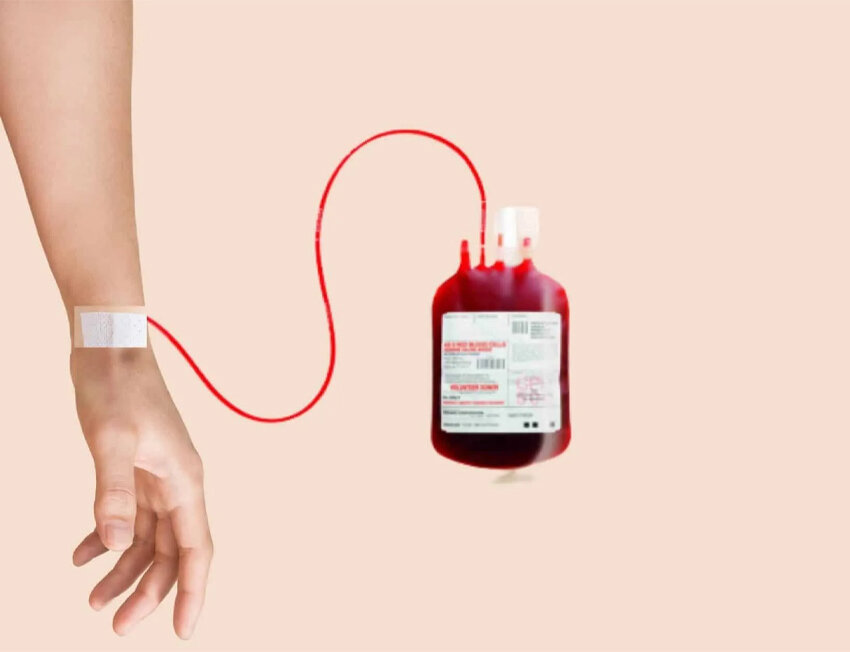 Quem fuma cannabis pode doar sangue? Entenda melhor!
