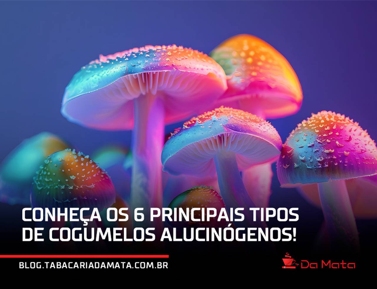 Conheça os 6 principais tipos de cogumelos alucinógenos!|Psilocybe cubensis|||Psilocybe mexicana|Psilocybe cyanescens|Psilocybe baeocystis