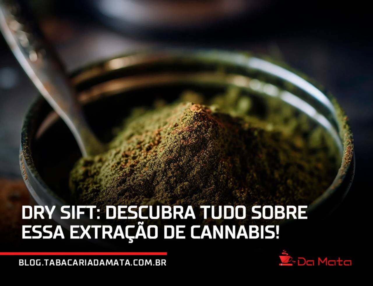 Dry Sift: descubra tudo sobre essa extração de cannabis!||pote de dry maconha|dry sift bem de perto