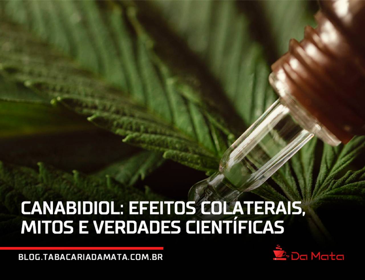 canabidiol efeitos colaterais|canabidiol efeitos colaterais|canabidiol efeitos colaterais