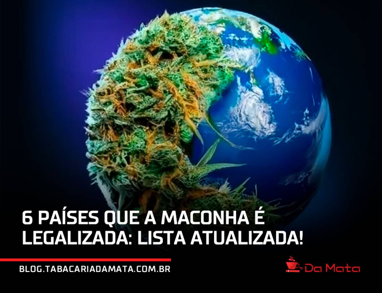 países onde a droga é legalizada|mulher na marcha da maconha com uma placa defendendo o usuo medicinal|bandeira do brasil e uma folha de cannabis|Infográfico com os principais países em que a droga é legalizada e as suas características