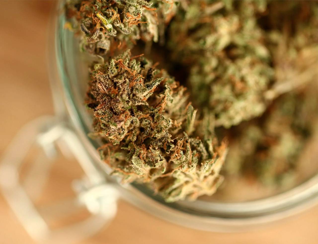 canabinoides sintéticos