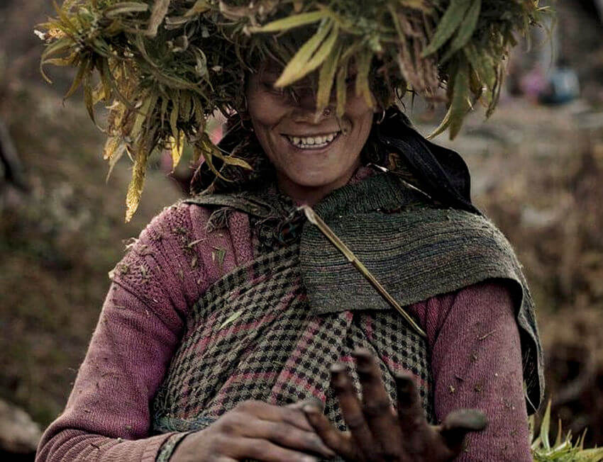 charas haxixe himalaia Da Mata