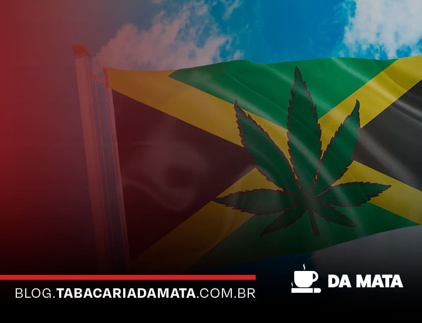 Discussão sobre legalização da cannabis na Jamaica||