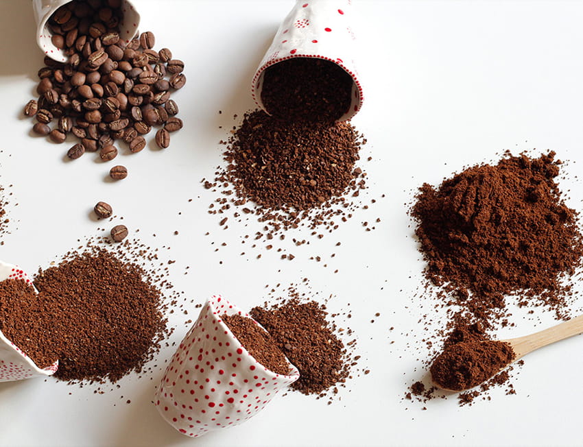 Quais os tipos de moagem de café? Café moído, em grãos e em pó