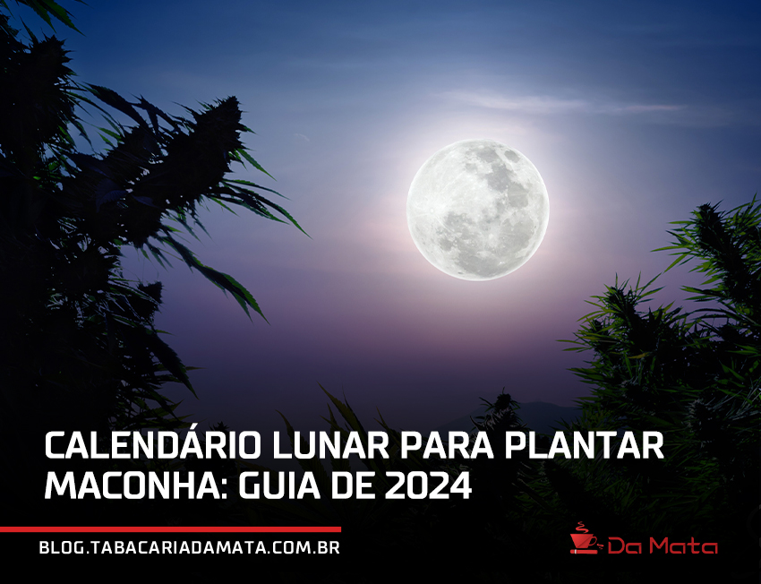 céu com lua cheia no fundo|mapa mundi dividido com as linhas tropicais e do equador