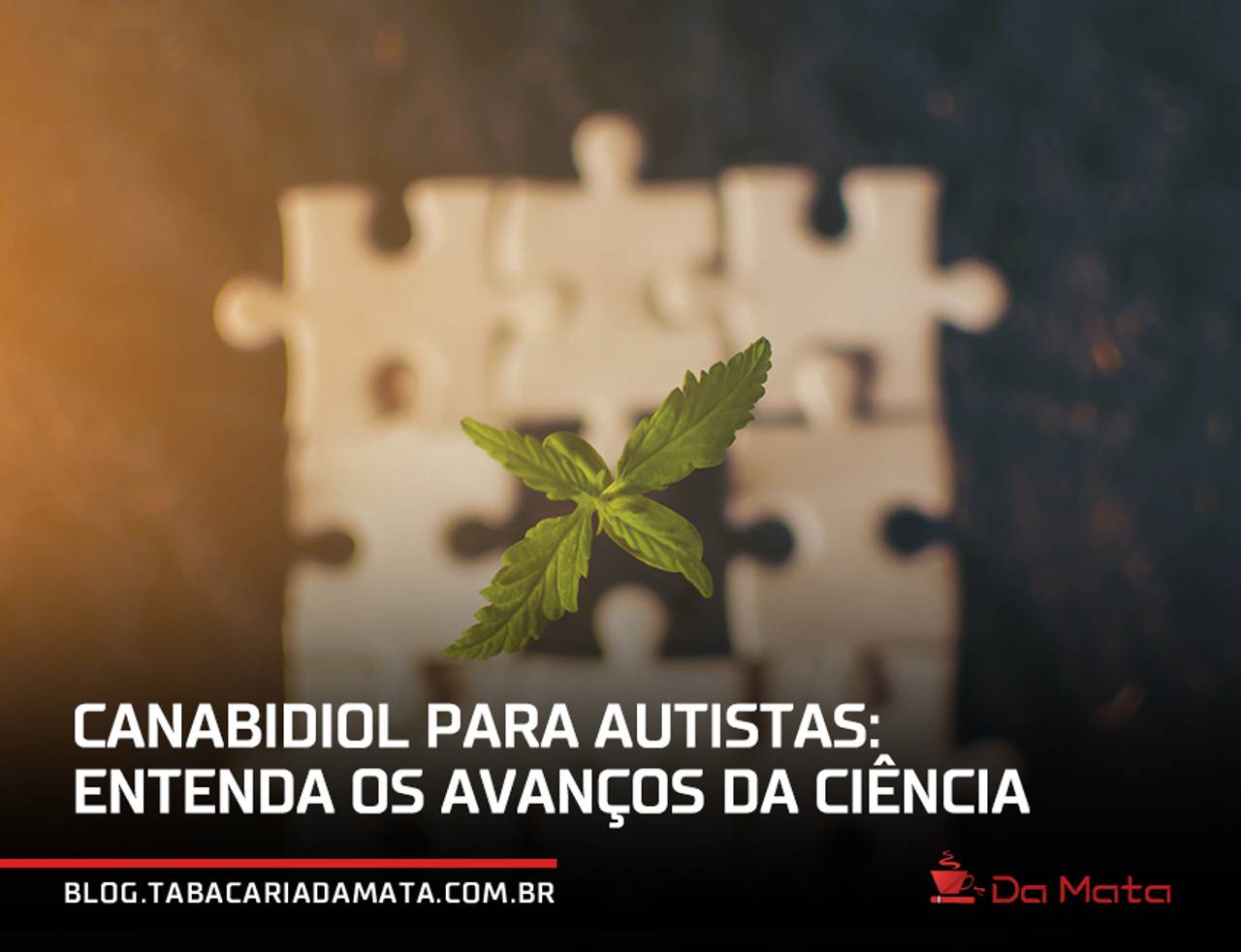 canabidiol para autistas|Como o canabidiol funciona no organismo|canabidiol para autistas