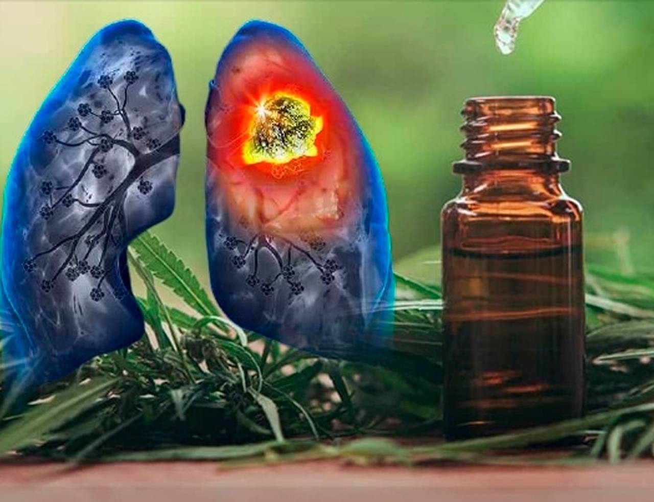 canabidiol efeitos colaterais