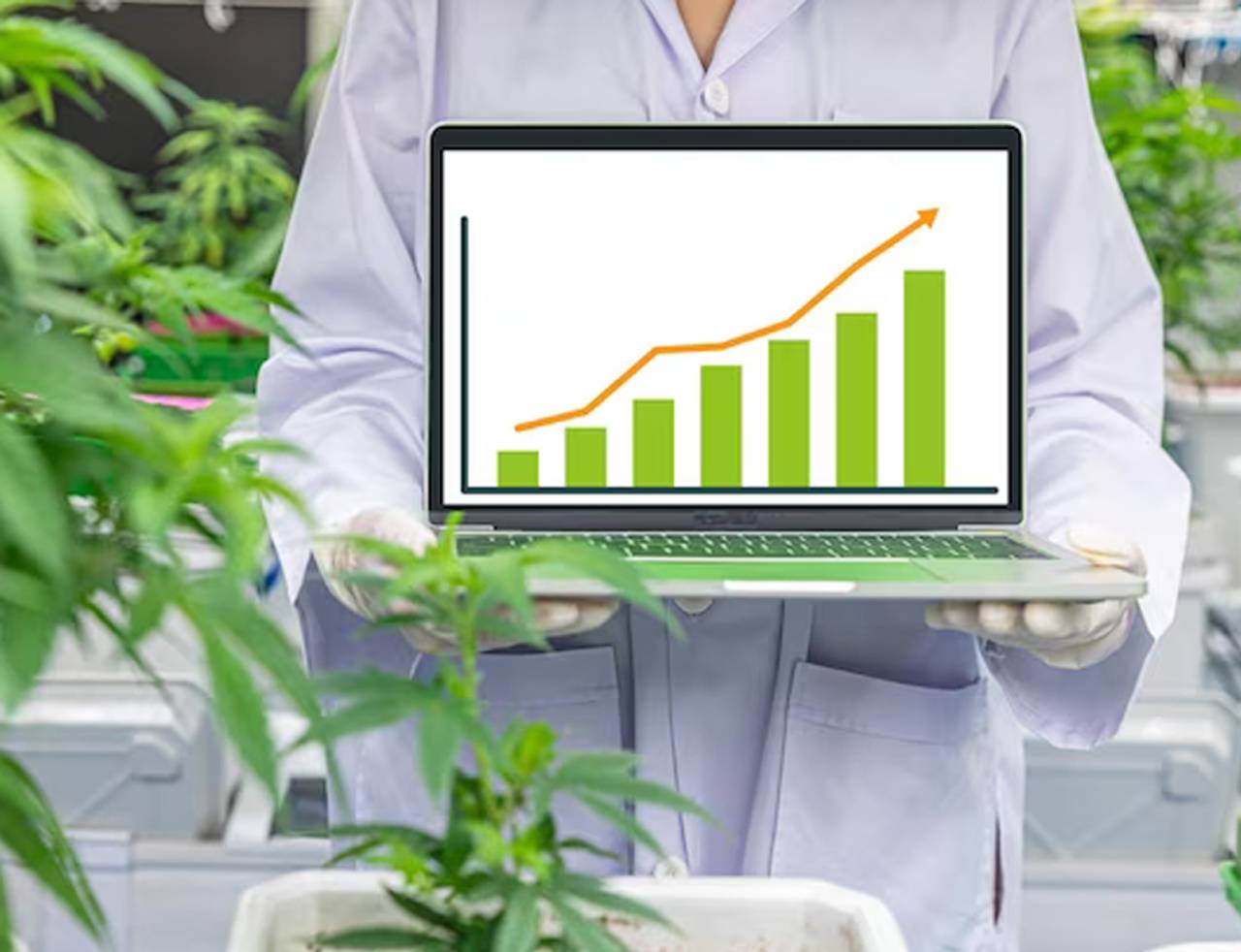 cientista segurando um notebook com infográfico sobre o uso do canabidiol