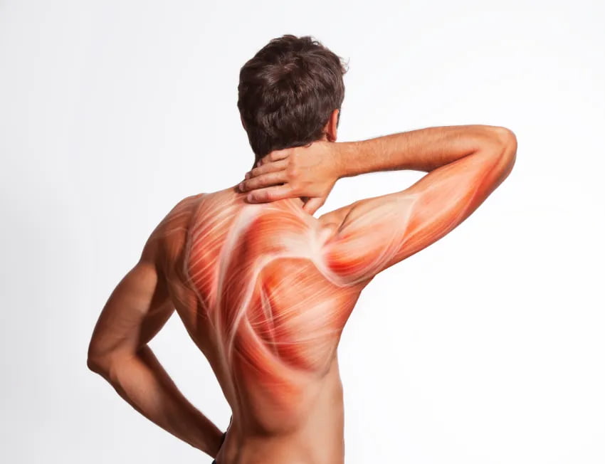 atleta musculoso se alongando