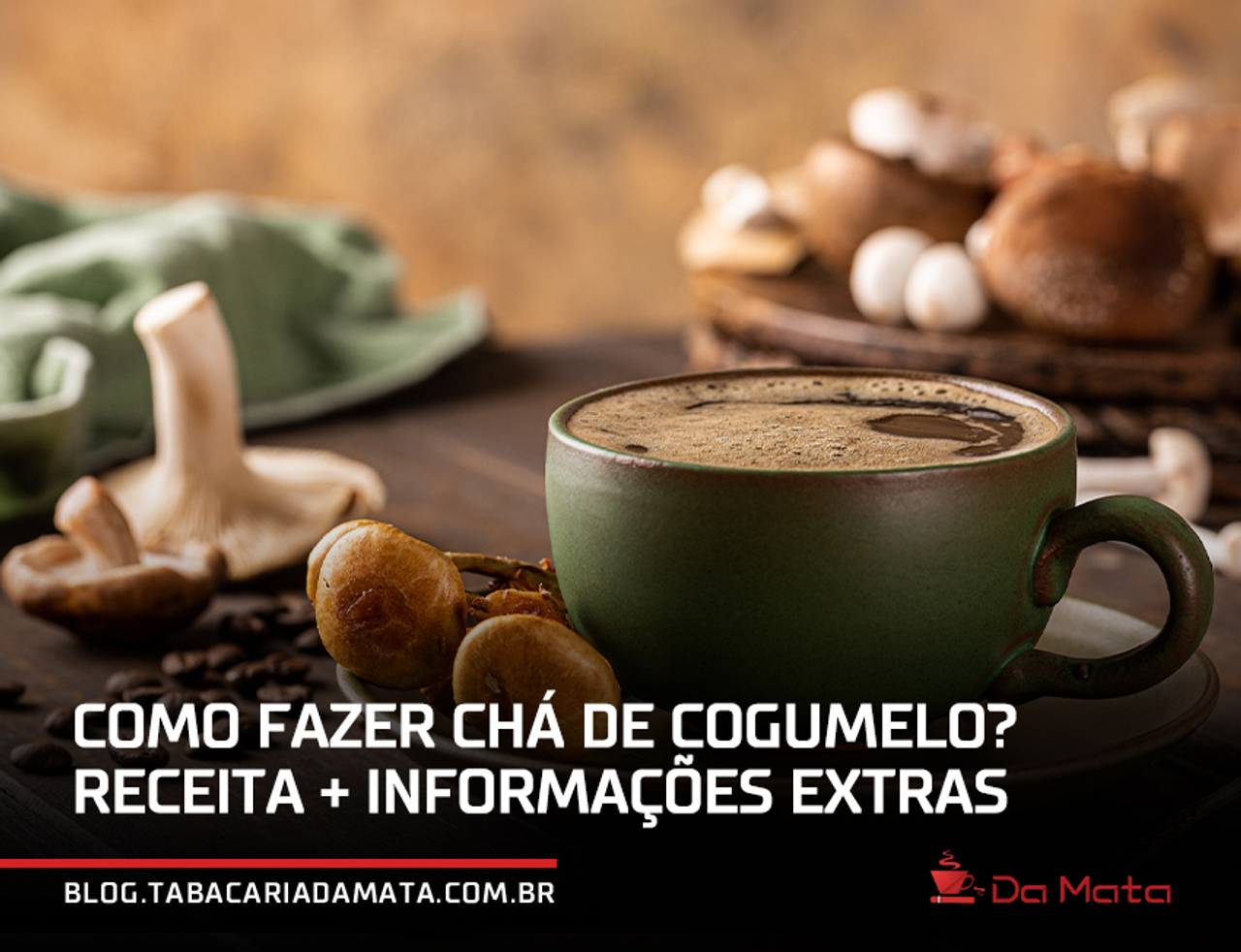 Como fazer chá de cogumelo? Receita + informações extras|cogumelo colorido|