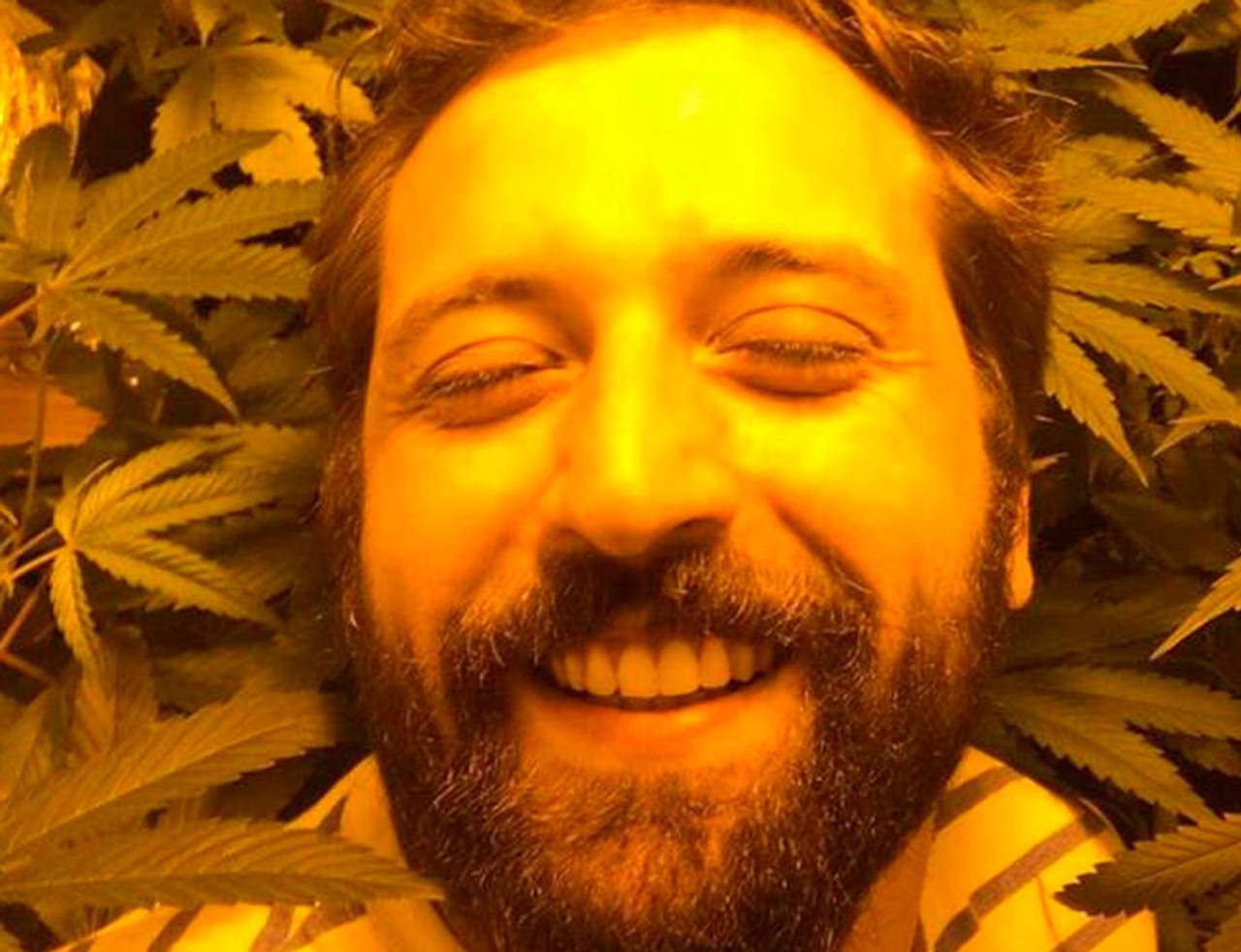 Gregório Duvivier chapado