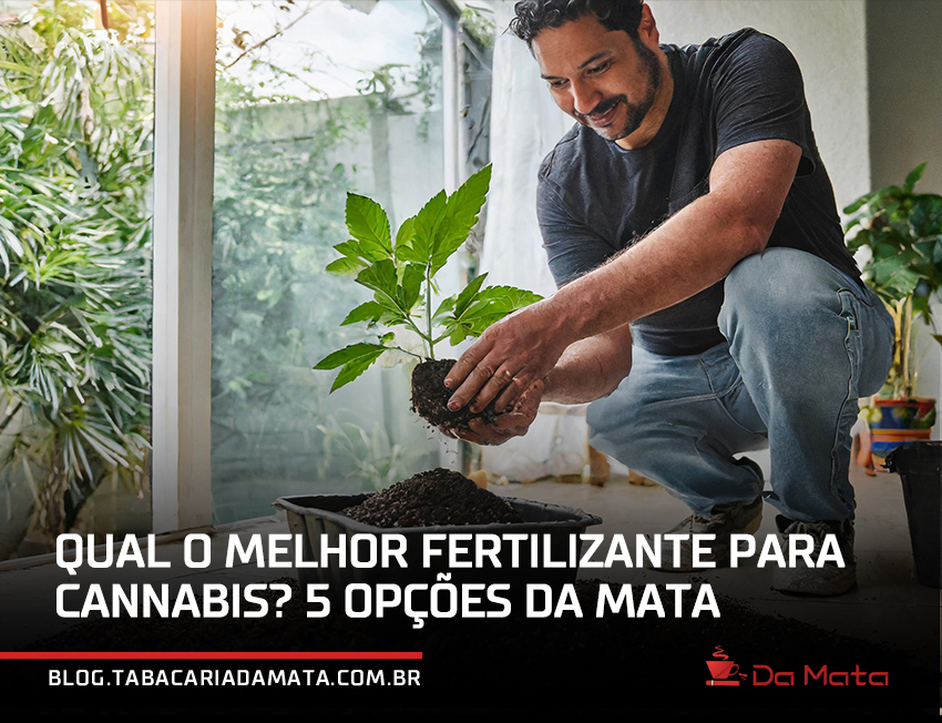 homem aplicando fertilizante em uma muda de cannabis||Fertilizantes Master Bloom|Fertilizantes para maconha High Nutrients|Maria Green Fertilizantes para maconha|Terra Aquática Fertilizantes para cannabis|fertilizante para maconha master bloom