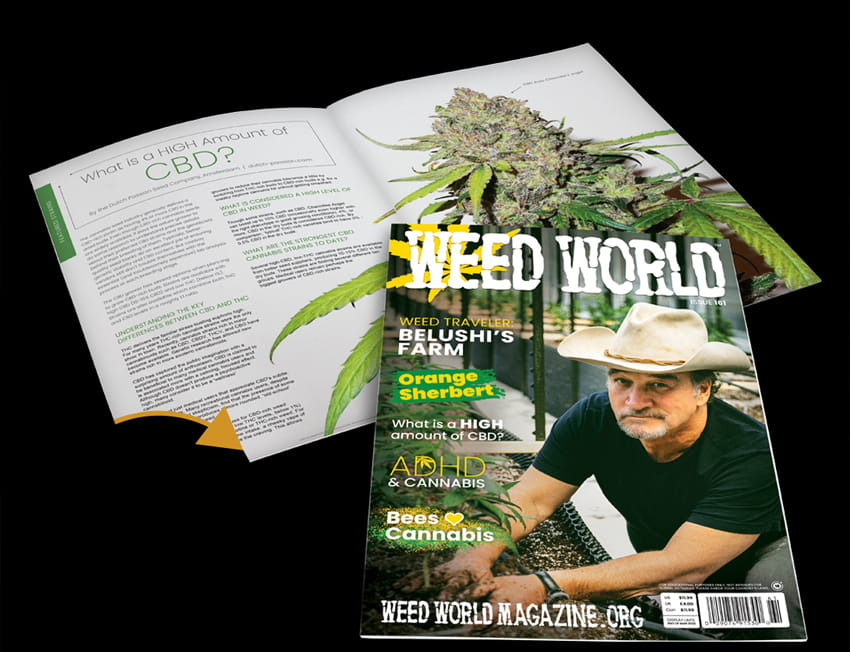 Artigos e livros publicados