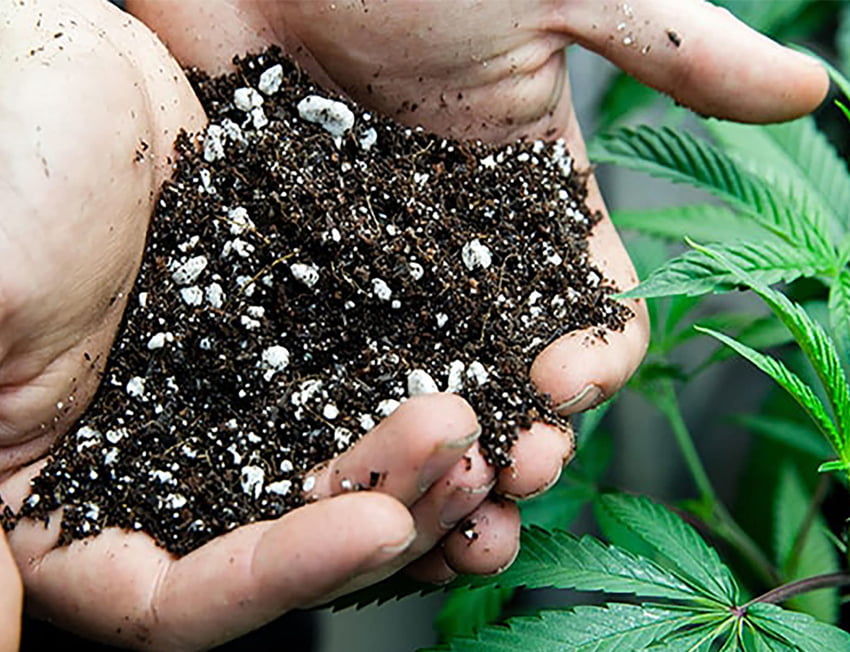 mão segurando um pouco de terra com adubo e fertilizantes para cultivo indoor