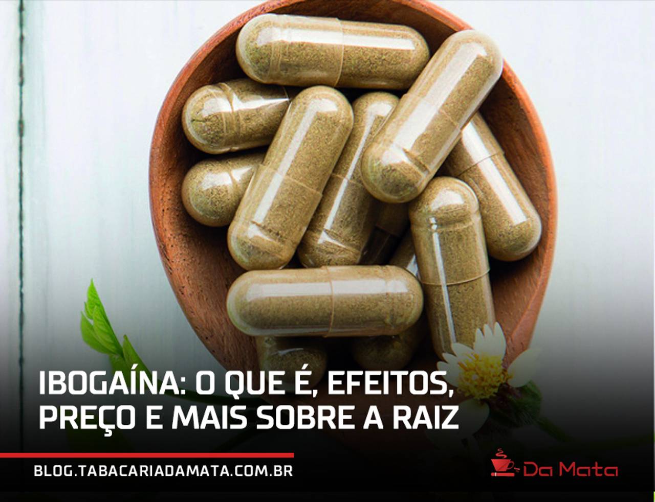 imagem de capa com uma ibogaína escrito: 