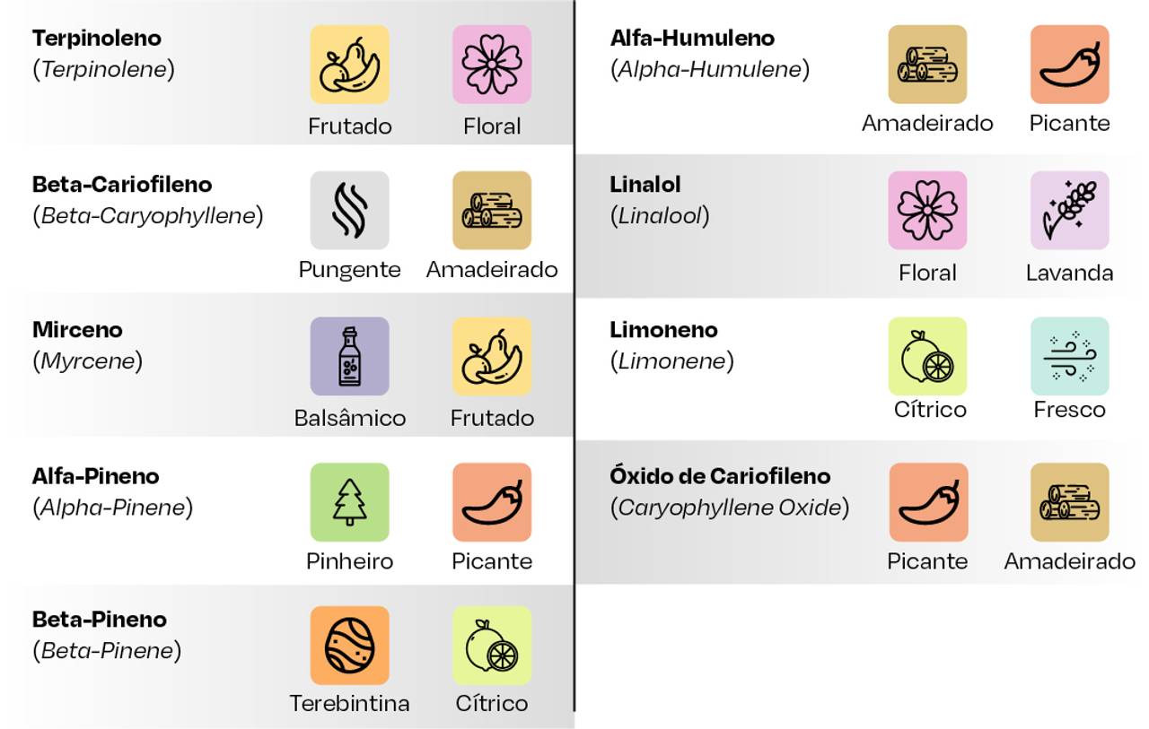 Terpinoleno (Terpinolene): Frutado, floral.  Alfa-Humuleno (Alpha-Humulene): Amadeirado, picante.  Beta-Cariofileno (Beta-Caryophyllene): Pungente, amadeirado.  Linalol (Linalool): Floral, lavanda.  Mirceno (Myrcene): Balsâmico, frutado.  Limoneno (Limonene): Cítrico, fresco.  Alfa-Pineno (Alpha-Pinene): Pinheiro, picante.  Óxido de Cariofileno (Caryophyllene Oxide): Picante, amadeirado.  Beta-Pineno (Beta-Pinene): Terebintina, cítrico.