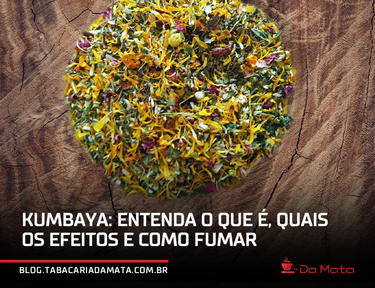 kumbaya|kumbaya em potes de barro|