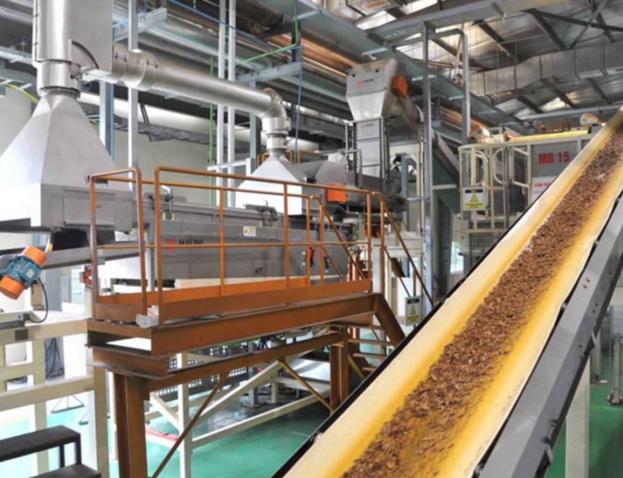 tabaco subindo na esteira em uma fábrica