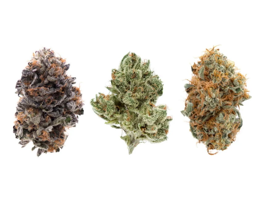 três tipos de maconhas ideais para fazer pizza de cannabis