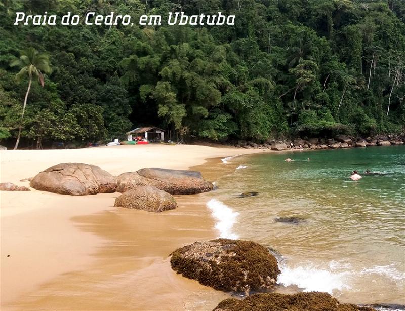 praia do cedro