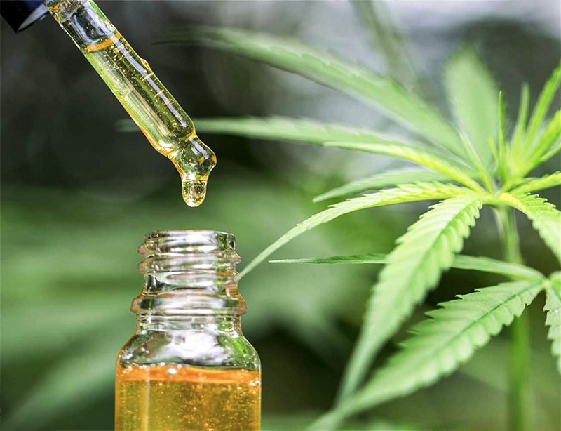 óleo de cannabis