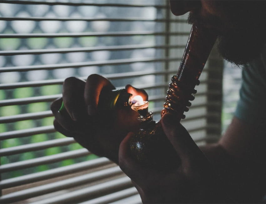 Como usar salvia divinorum?