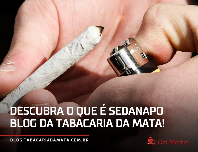 o que é sedanapo|porta guardanapo|seda raw