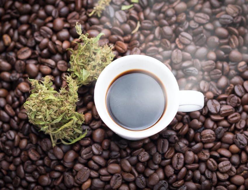 Xícara de café, grãos de café e flor de maconha