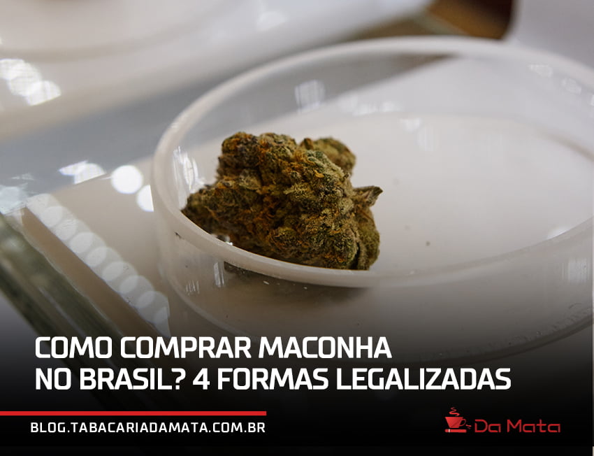 prensado em um potinho sendo pesado|farmaceutico entregando produto de cannabis para uma cliente|jardineiro segurando um vaso de maconha