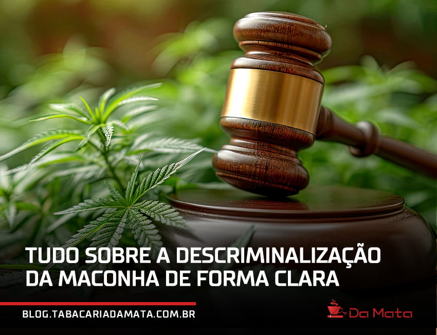 TUDO sobre a descriminalização da maconha de forma clara|corre sendo pesado em uma balança|juri para decidir a legalização da maconha