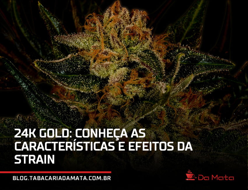 muda de 24K gold com a escrita na parte inferior: 