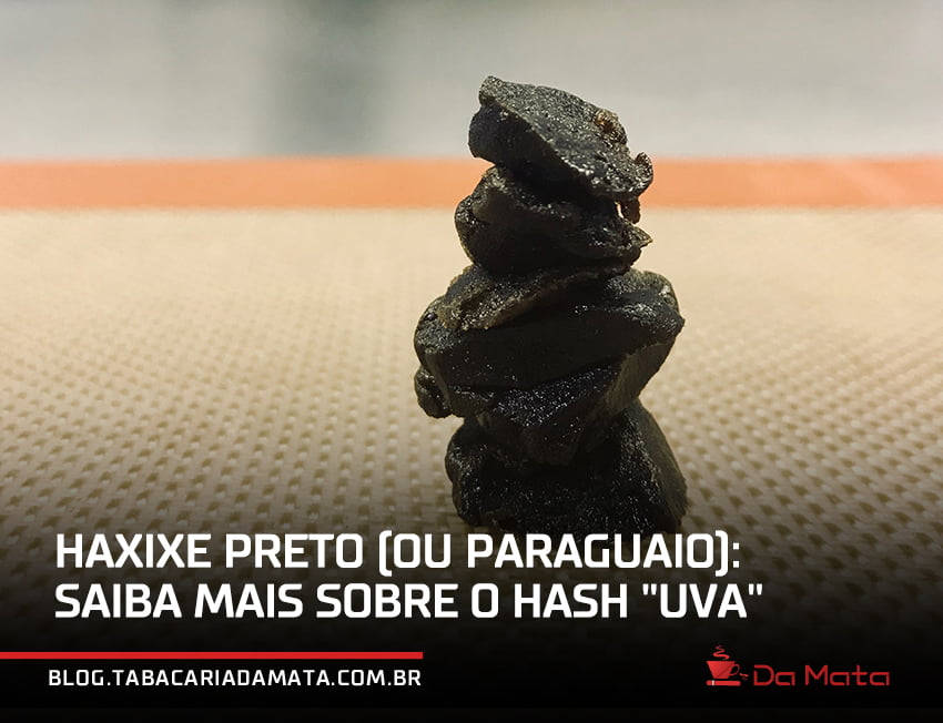 haxixe preto|haxixe preto