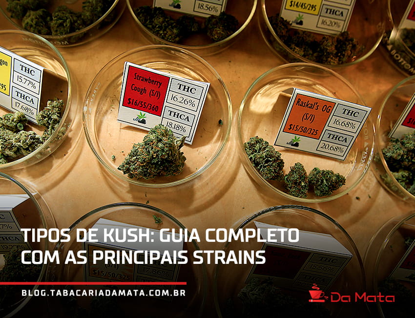 recipientes com diferentes tipos de kush|kush|cordilheira do kush