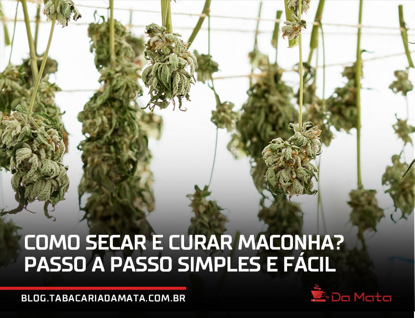 folhas de cannabis penduradas em um arame para secar|folha de cannabis seca e curada em uma caixa de papelão