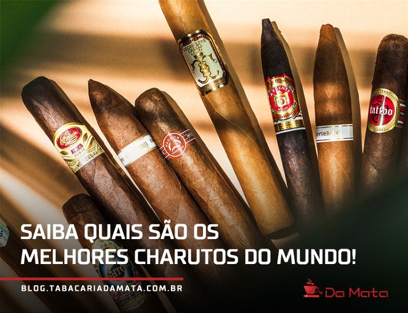 Diversos charutos|Plantação|Charuto