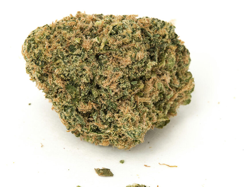 Flor de cannabis em detalhe, destaca textura e cores.