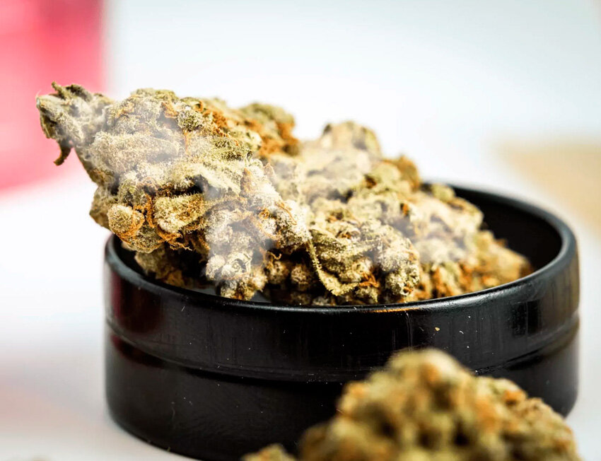 Flores de cannabis em recipiente preto