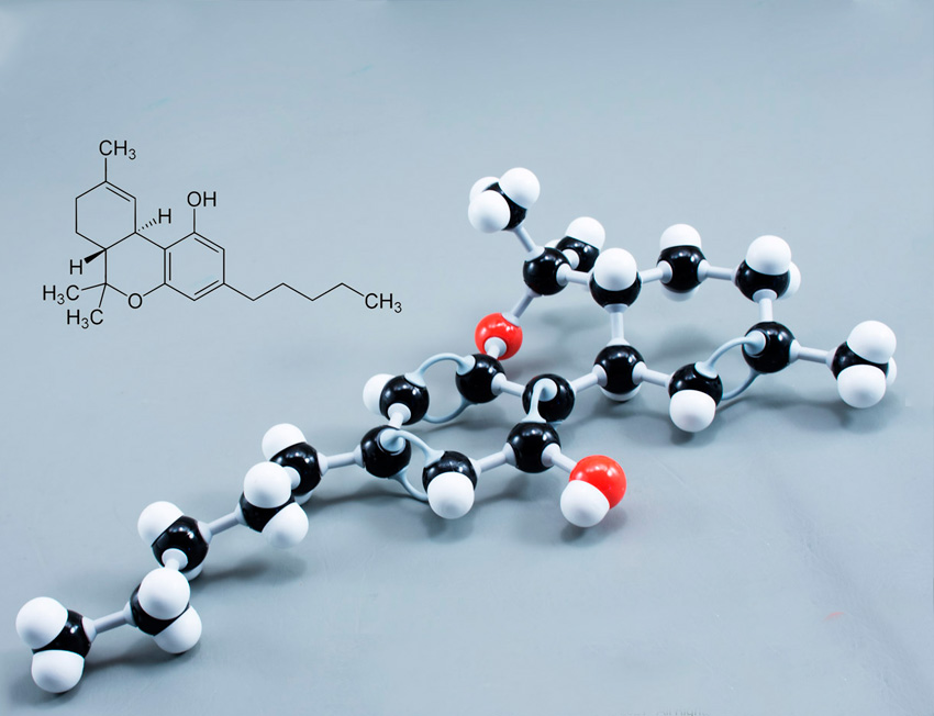 canabinoides sintéticos