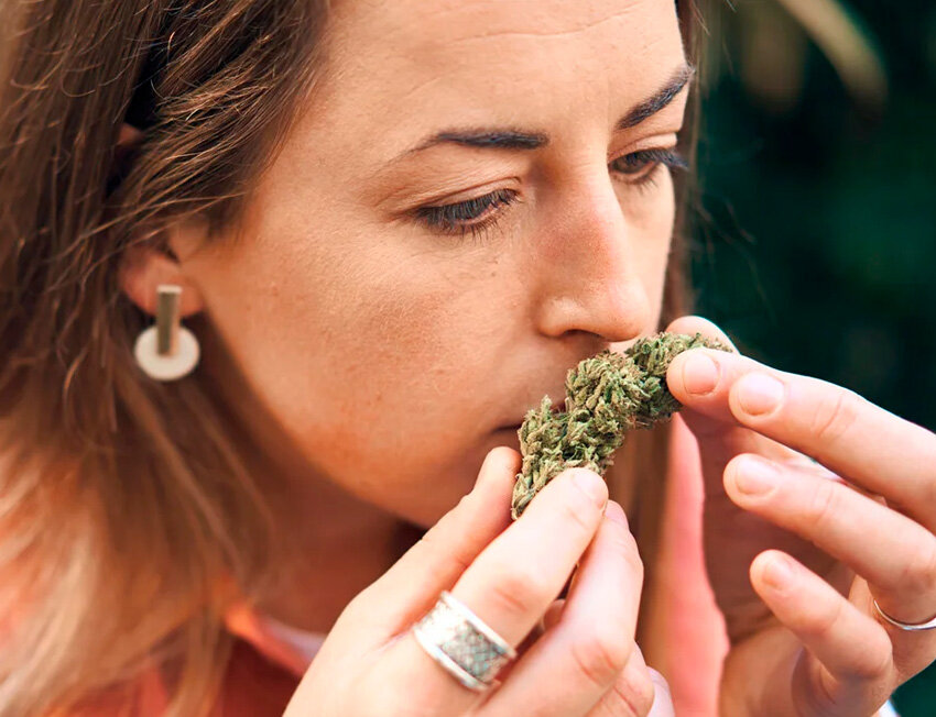 Mulher cheirando flores de cannabis.