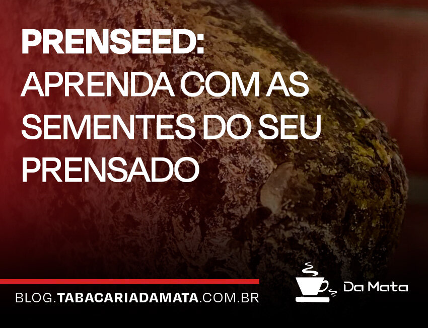 Aprenda sobre sementes de prensado de tabaco|Mistura de ervas secas para infusão|Planta em vaso de feltro com sistema de irrigação.
