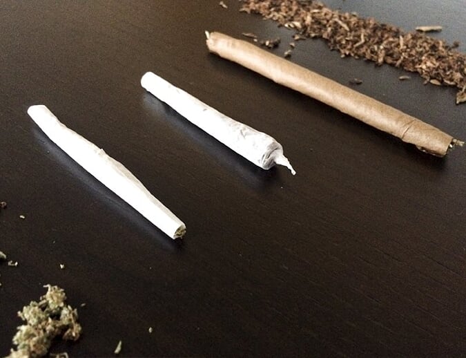 tipos de bolado da mata 