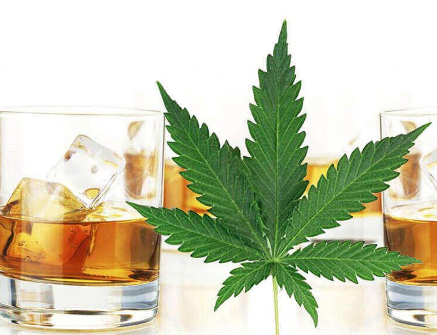 Copo de whisky e folha de maconha em fundo branco