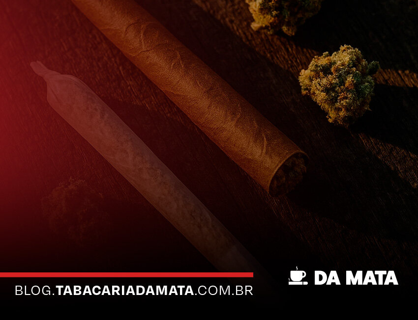Charutos e flores de cannabis sobre mesa de madeira