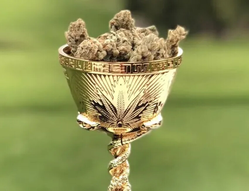 Taça dourada com flores de cannabis
