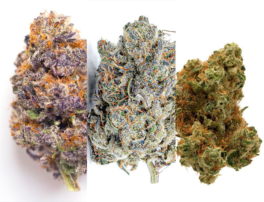 Exemplos de diferentes variedades de flores de cannabis.
