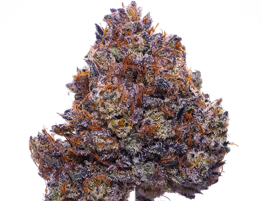 091902aa_damata-purple-24k_0001_purple-haze.jpg