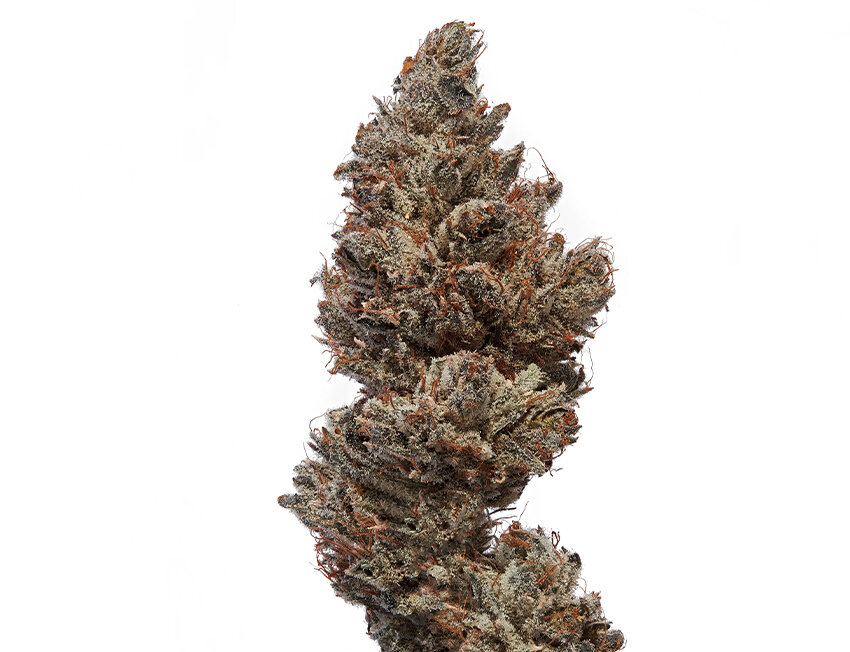 Guia de indicas clássicas: OG Kush e Bubba Kush — origem, efeitos e por que são lendárias